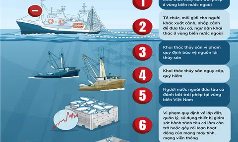 8 tội danh vi phạm khai thác thủy sản bị truy cứu trách nhiệm hình sự