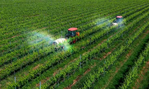 Phát triển nông nghiệp hiệu quả dựa trên ứng dụng công nghệ cao