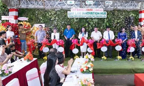 Daklak Innovation Hub: Thúc đẩy hệ sinh thái khởi nghiệp, hỗ trợ các doanh nghiệp đổi mới sáng tạo