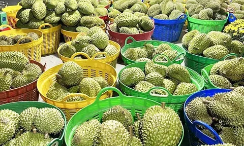 6 nhiệm vụ, giải pháp trọng tâm của ngành nông nghiệp trong 6 tháng cuối năm 2024