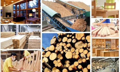 Ngành gỗ Việt Nam cần tập trung nâng cao năng lực cạnh tranh của doanh nghiệp dựa trên năm trụ cột chính
