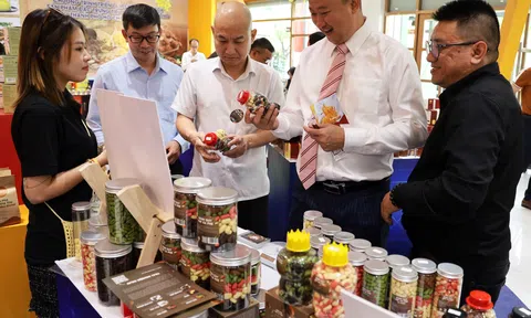 Đưa sản phẩm OCOP, sản phẩm đặc trưng, tiêu biểu tỉnh Lâm Đồng đến người tiêu dùng TP. Hồ Chí Minh