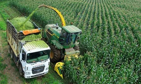 Phát triển nông nghiệp ứng dụng khoa học công nghệ là xu hướng tất yếu