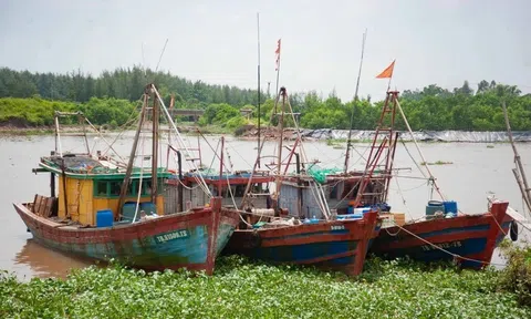 Thủ tướng Chính phủ ban hành công điện về ứng phó bão số 3