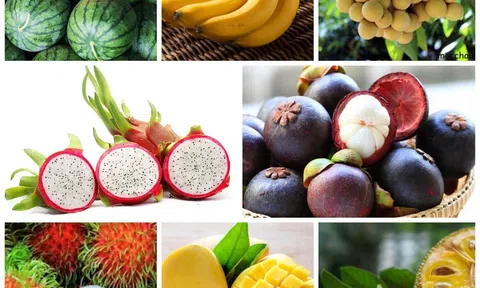 Lần đầu tiên Lễ hội trái cây Việt Nam tổ chức tại Bắc Kinh (Trung Quốc)