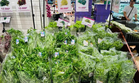 Bộ Công Thương yêu cầu kiên quyết không để xảy ra tình trạng găm hàng, đẩy giá sau bão