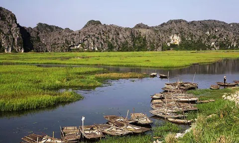 Việt Nam điểm đến mới của điện ảnh thế giới