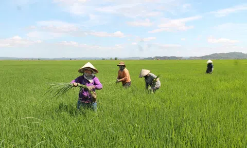 Xây dựng cơ chế thị trường linh hoạt thúc đẩy đổi mới sáng tạo xanh trong nông nghiệp