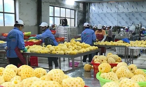 Nền kinh tế Việt Nam vẫn vững vàng giữa những bất ổn của môi trường bên ngoài