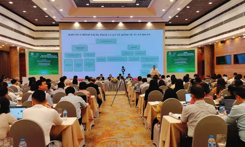 Giải pháp thực hiện kinh tế tuần hoàn trong thời kỳ mới