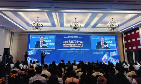 Tăng cường hợp tác kinh tế và thương mại với các đối tác châu Mỹ