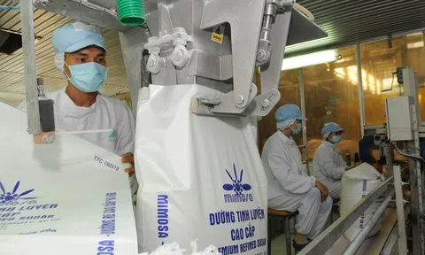 Sử dụng hiệu quả các biện pháp phòng vệ thương mại giúp các ngành sản xuất trong nước phát triển bền vững