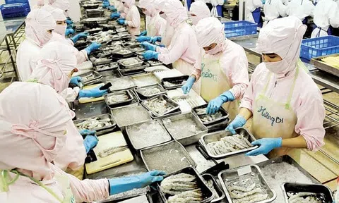 Xuất khẩu tôm thu về 2,8 tỷ USD trong 9 tháng năm 2024