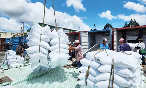 Một số lưu ý cho doanh nghiệp Việt khi xuất khẩu sang thị trường châu Á