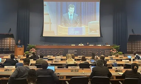 Việt Nam tham gia hội nghị lần thứ 13 Công ước Vienna và cuộc họp lần thứ 36 Nghị định thư Montreal