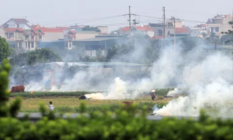 Những trọng tâm thảo luận tại hội nghị toàn cầu về biến đổi khí hậu lần thứ 29
