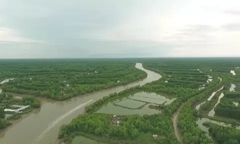 COP29 xác nhận khuôn khổ thị trường carbon toàn cầu do Liên hợp quốc hậu thuẫn