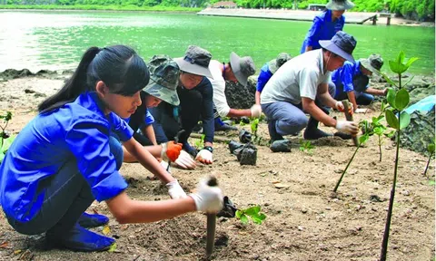 UNDP tiếp tục hỗ trợ Việt Nam giải quyết các thách thức trong ứng phó biến đổi khí hậu