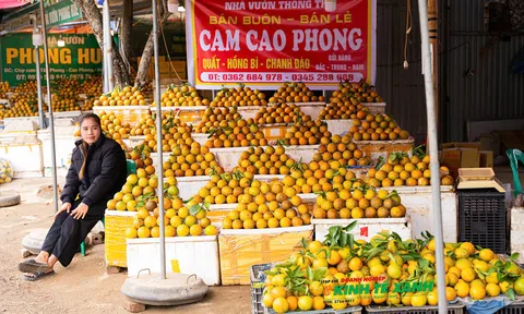 Quảng bá thương hiệu nông sản đặc trưng và kết nối tiêu thụ tại Lễ hội Cam Cao Phong