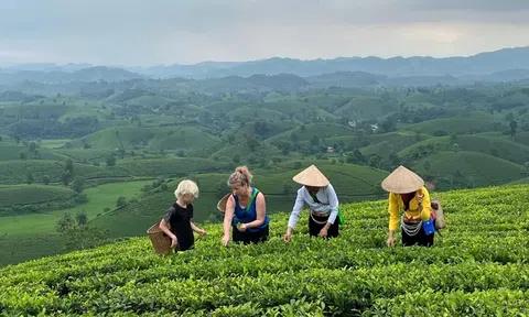 Thu hút tài chính xanh cho phát triển nông nghiệp tại Việt Nam