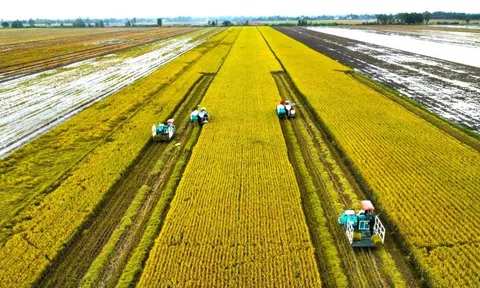 Giải pháp xây dựng hệ sinh thái nông nghiệp bền vững