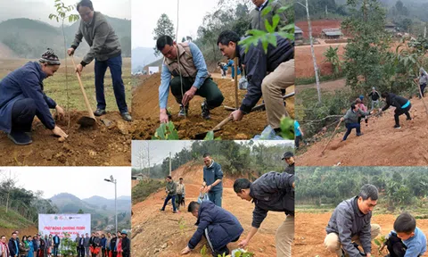 Phát động phong trào "Tết trồng cây đời đời nhớ ơn Bác Hồ” tại Làng Nủ