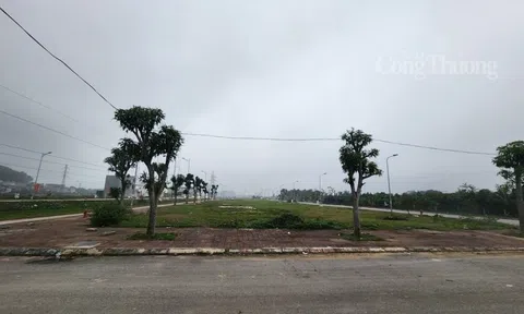 Xử lý nghiêm hành vi thao túng giá, đầu cơ bất động sản