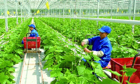 Lợi thế nào để Thanh Hoá đặt mục tiêu tăng trưởng GRDP đạt 11% trở lên?