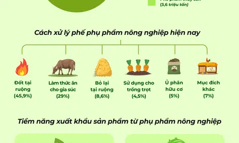 Tiềm năng kinh tế từ phế phụ phẩm nông nghiệp