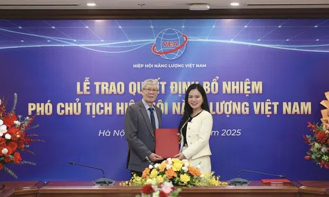 Lãnh đạo cấp cao T&T Group làm Phó Chủ tịch Hiệp hội Năng lượng Việt Nam