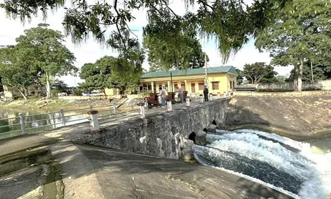 Thanh Hóa: Gần 17.200 ha đất nông nghiệp có nguy cơ thiếu nước, xâm nhập mặn nếu nắng nóng kéo dài