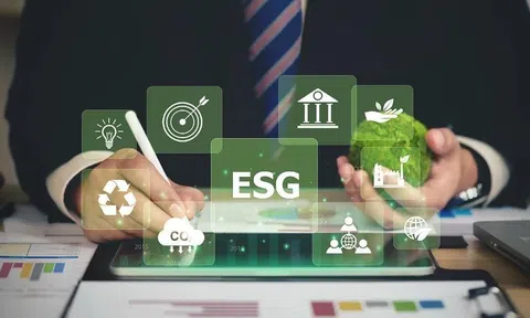 Thúc đẩy startup phát triển theo tiêu chuẩn ESG