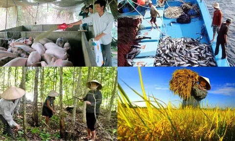 Sản xuất nông nghiệp 4 tháng đầu năm 2025 tiếp tục đà tăng trưởng