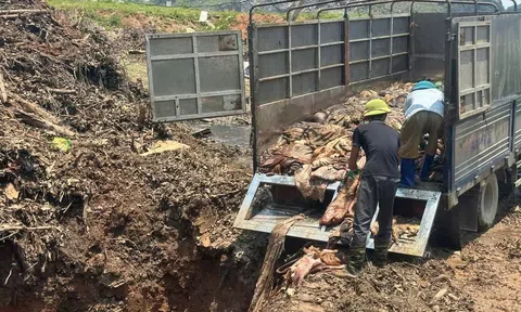 Thanh Hóa tăng cường kiểm soát, xử lý nghiêm hành vi kinh doanh thực phẩm 'bẩn', sữa giả, thuốc giả