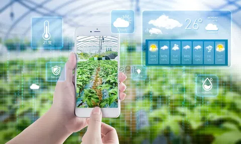 Thúc đẩy nền nông nghiệp thông minh từ nông nghiệp chính xác