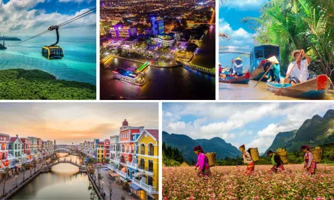 Kiểm tra toàn diện các doanh nghiệp dịch vụ du lịch, lữ hành