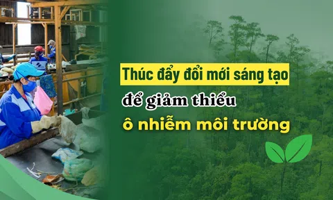 Thúc đẩy đổi mới sáng tạo để giảm thiểu ô nhiễm môi trường