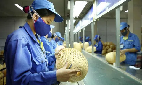 Kinh tế tư nhân là nguồn lực quan trọng để tăng trưởng GDP