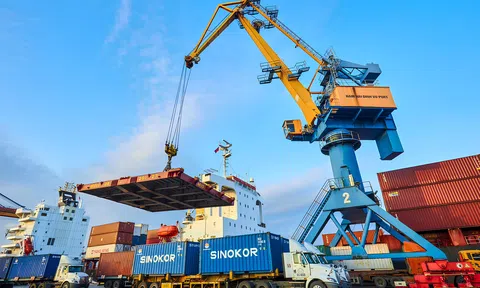 Nhóm Viconship liên tục gom cổ phiếu HAH, nâng sở hữu lên hơn 11,6%