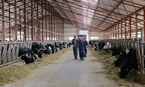 Việt Nam mở rộng các dự án đầu tư nông nghiệp tại Liên bang Nga