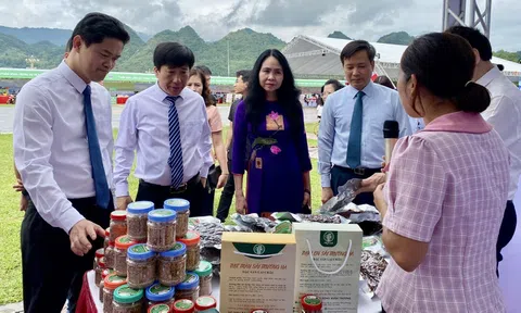 Quảng bá tiêu thụ sản phẩm vùng cao qua thương mại điện tử