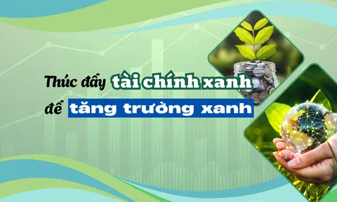 Thúc đẩy tài chính xanh để tăng trưởng xanh