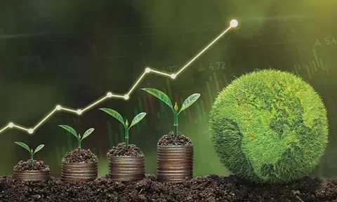 Tín dụng xanh tại Việt Nam - Những vướng mắc và bất cập