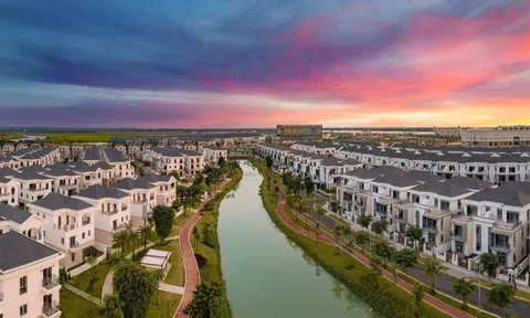 Aqua City báo lãi sau thuế gần 547 tỷ đồng năm 2024