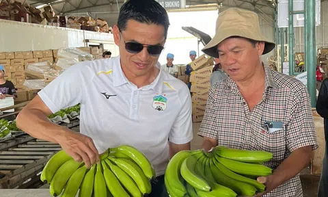 Hoàng Anh Gia Lai đặt mục tiêu lãi hơn 1.100 tỉ đồng năm 2025