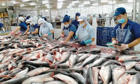 Đa dạng hóa thị trường, đẩy mạnh chế biến sâu trong bối cảnh rủi ro thương mại gia tăng