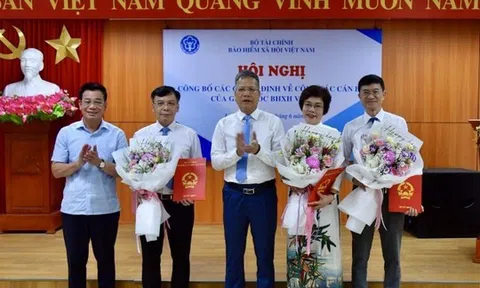 Bảo hiểm xã hội khu vực 5 có nữ giám đốc