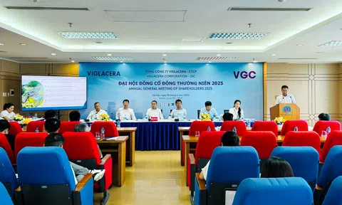 ĐHĐCĐ Viglacera: Chính sách thuế quan tác động tới lợi nhuận, chưa tìm được nhà đầu tư tham gia thoái vốn
