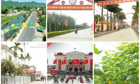 Nhìn lại thành quả sau 15 năm xây dựng NTM ở Ninh Bình