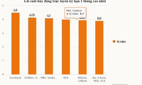 Lãi suất ngân hàng hôm nay 11/6/2025: Sôi động với nhiều mốc lãi suất từ 6%/năm